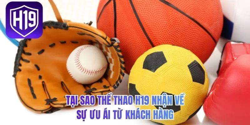 Tại sao thể thao H19 nhận về sự ưu ái từ khách hàng